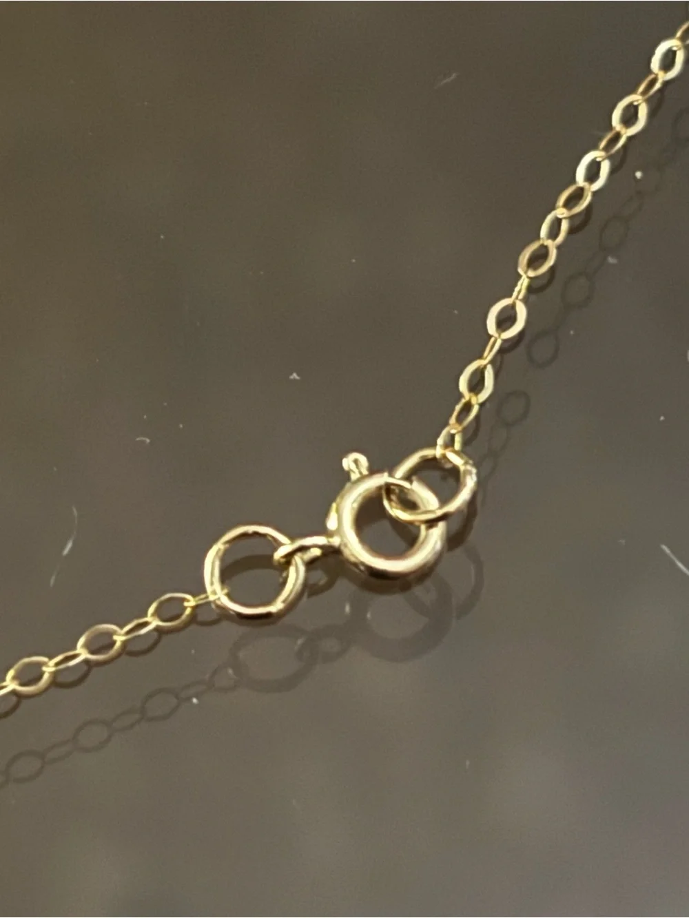 Delicate 10 KT Gold Chain Necklace